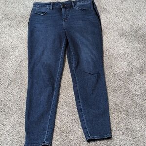 Talbots Women's Dark Indigo Skinny Jeans